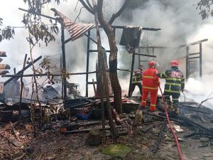 Bakar Kardus Usir Nyamuk, Rumah Papan di Jambi Ludes Dilalap Api