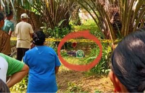 Anak Diduga Bunuh Ibu Kandung di Tebo, Polisi Dalami Motif dan Kondisi Kejiwaan Pelaku