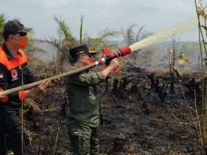 Karhutla Gambut 3 Hari, Gubernur Jambi Turun Langsung Padamkan Api