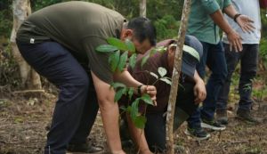 Bukan Sekadar Reboisasi, Merawat Hutan Rio Kemunyang untuk Menjaga Hulu Merangin
