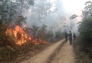 Lahan 15 Hektare Terbakar di Sungai Mengkuang, Warga dan Petugas Turun Tangan