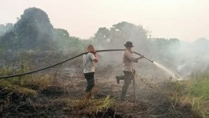 Lahan Gambut 10 Hektare Terbakar di Muaro Jambi, 60 Personel Dikerahkan