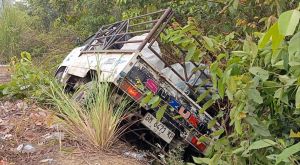 Diduga Mengantuk, Carry Pickup Nyungsep ke Semak Belukar di Jalan Lintas Tebo-Bungo