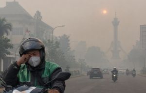 ISPU Jambi Tembus 389, Kabut Asap Mulai Menekan Warga yang Tetap Bekerja
