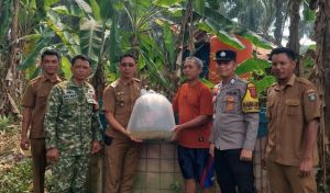 Karang Taruna Kuning Gading Dapat 5.000 Bibit Lele untuk Kembangkan Usaha