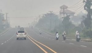 Kabut Asap Tebo Makin Pekat, ISPU Capai 815 dan Masuk Kategori Berbahaya